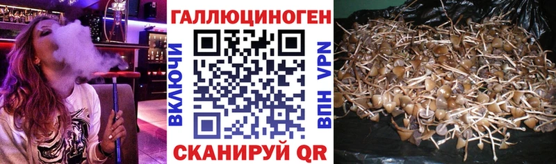 Галлюциногенные грибы MAGIC MUSHROOMS  Вольск 