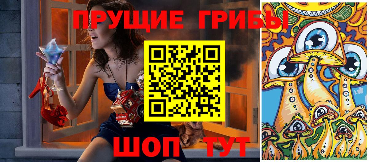 Галлюциногенные грибы мицелий  Псилоцибиновые грибы прущие грибы  купить наркотики сайты  Вольск  Вход с VPN 