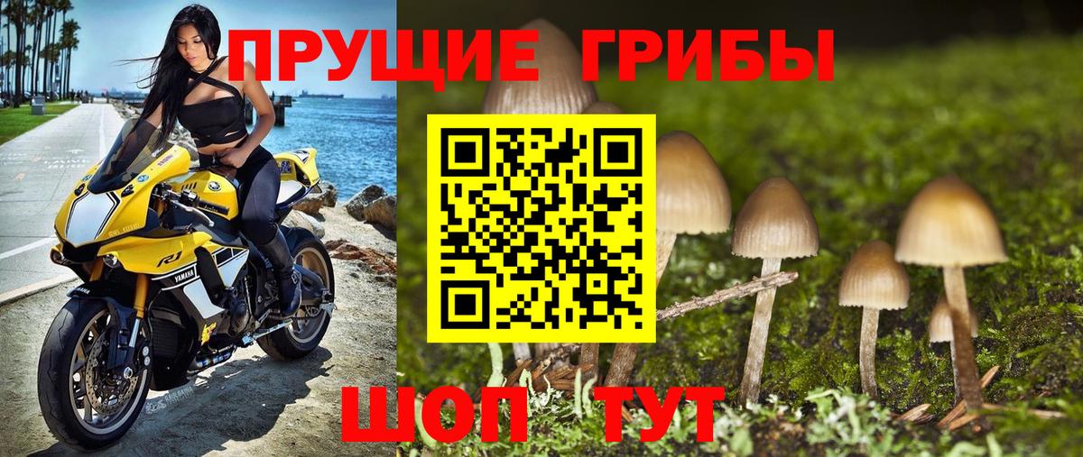 Галлюциногенные грибы GOLDEN TEACHER Вольск