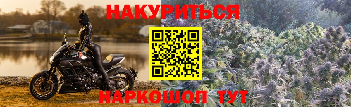 Конопля гибрид Вольск
